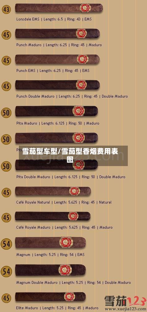 雪茄型车型/雪茄型香烟费用表图