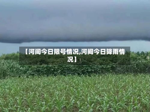 【河间今日限号情况,河间今日降雨情况】