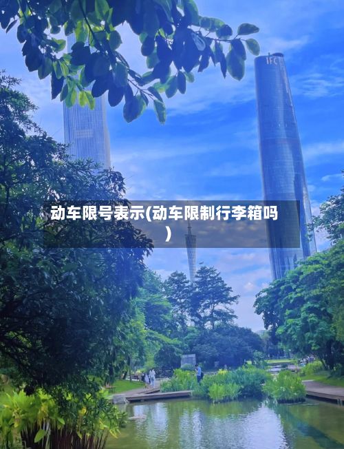 动车限号表示(动车限制行李箱吗)-第2张图片