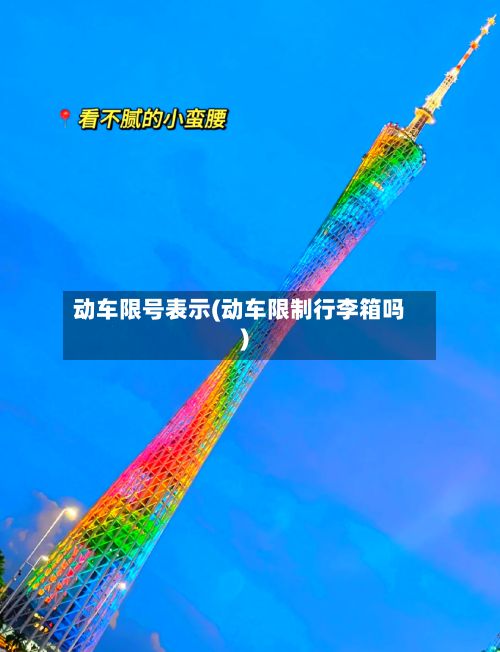动车限号表示(动车限制行李箱吗)