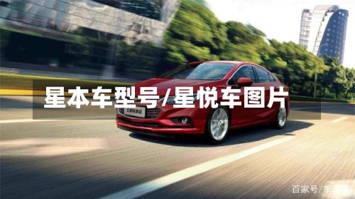 星本车型号/星悦车图片