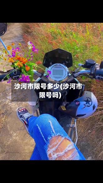 沙河市限号多少(沙河市限号吗)