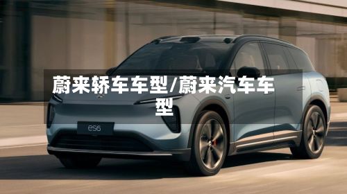 蔚来轿车车型/蔚来汽车车型-第2张图片