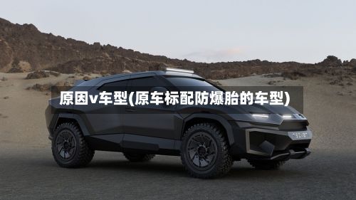 原因v车型(原车标配防爆胎的车型)
