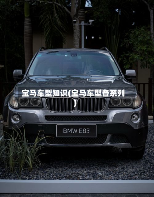 宝马车型知识(宝马车型各系列)
