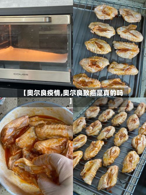 【奥尔良疫情,奥尔良致癌是真的吗】