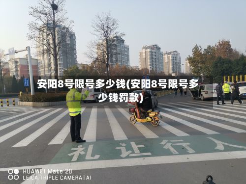 安阳8号限号多少钱(安阳8号限号多少钱罚款)-第3张图片