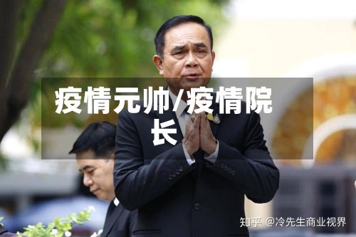 疫情元帅/疫情院长