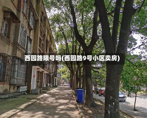 西园路限号吗(西园路9号小区卖房)