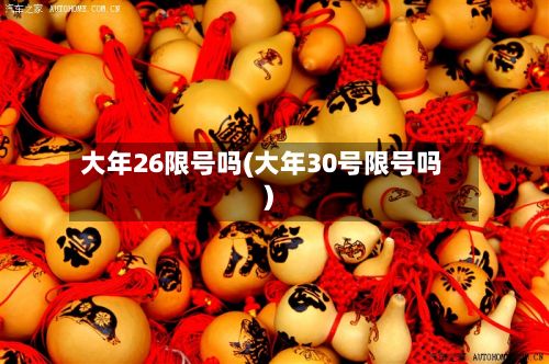 大年26限号吗(大年30号限号吗)-第3张图片