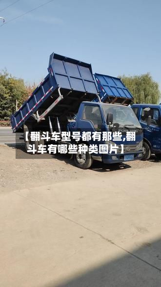 【翻斗车型号都有那些,翻斗车有哪些种类图片】-第2张图片