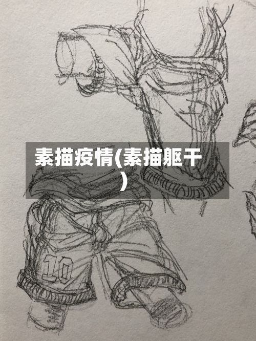 素描疫情(素描躯干)-第2张图片