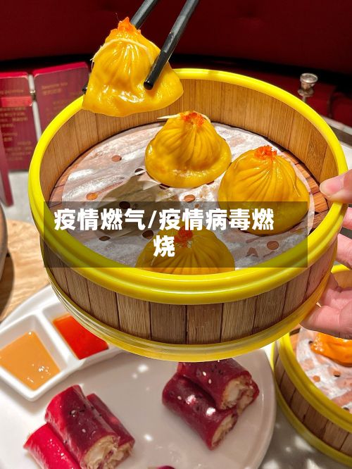 疫情燃气/疫情病毒燃烧