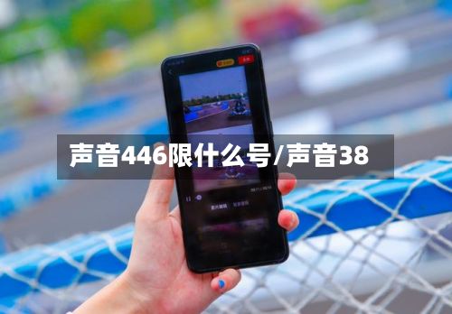 声音446限什么号/声音38-第2张图片