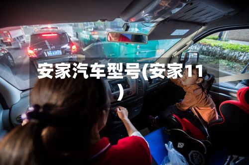 安家汽车型号(安家11)-第3张图片