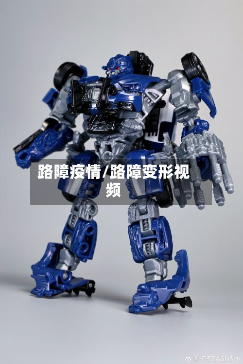 路障疫情/路障变形视频