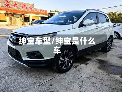 绅宝车型/绅宝是什么车-第3张图片