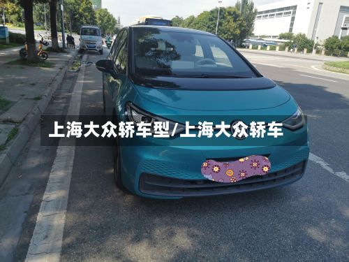 上海大众轿车型/上海大众轿车-第2张图片
