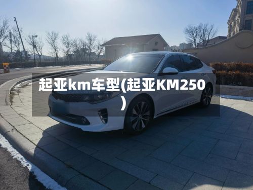 起亚km车型(起亚KM250)-第3张图片