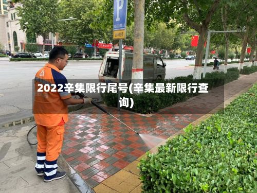 2022辛集限行尾号(辛集最新限行查询)-第2张图片