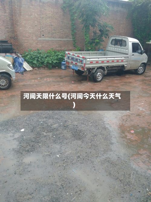 河间天限什么号(河间今天什么天气)-第3张图片