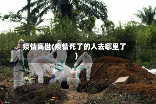 疫情离世(疫情死了的人去哪里了)-第2张图片