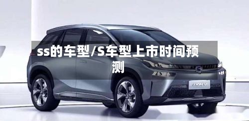 ss的车型/S车型上市时间预测-第3张图片
