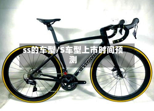ss的车型/S车型上市时间预测-第2张图片
