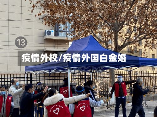 疫情外校/疫情外国白金婚