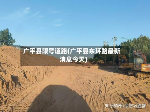 广平县限号道路(广平县东环路最新消息今天)