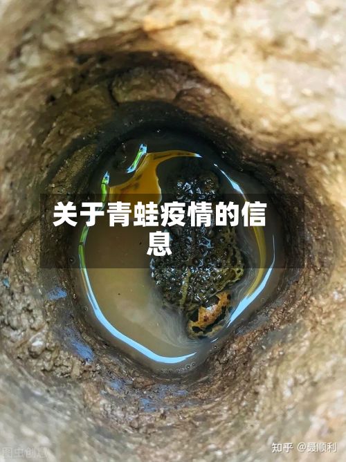关于青蛙疫情的信息-第2张图片