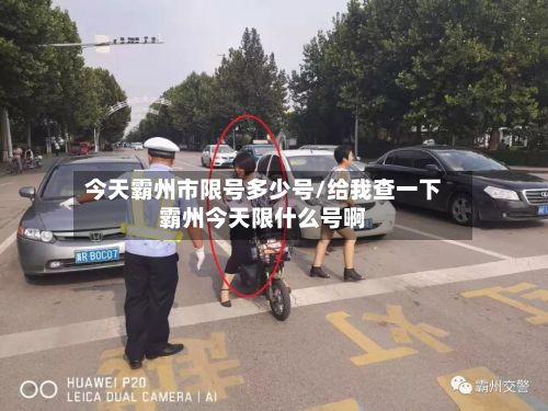 今天霸州市限号多少号/给我查一下霸州今天限什么号啊