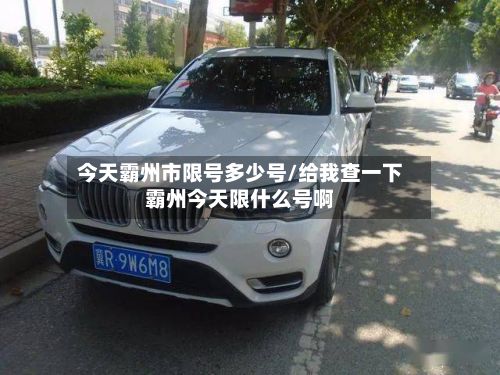 今天霸州市限号多少号/给我查一下霸州今天限什么号啊-第2张图片