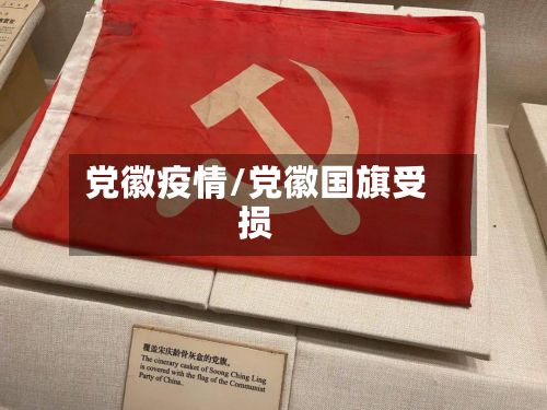 党徽疫情/党徽国旗受损
