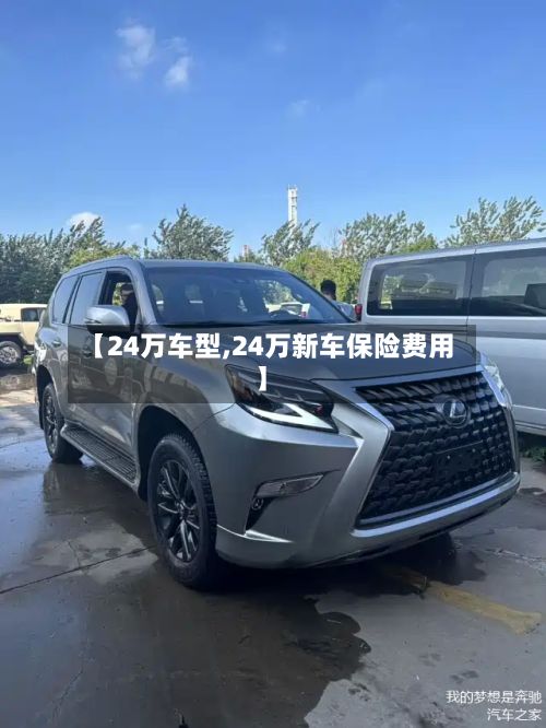 【24万车型,24万新车保险费用】