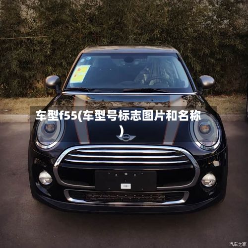 车型f55(车型号标志图片和名称)
