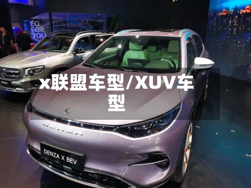 x联盟车型/XUV车型-第2张图片