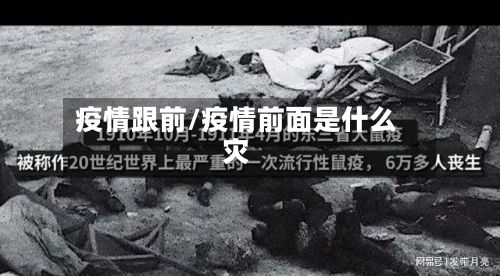 疫情跟前/疫情前面是什么灾-第2张图片