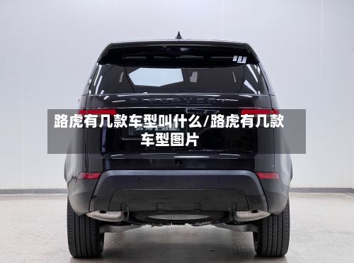 路虎有几款车型叫什么/路虎有几款车型图片
