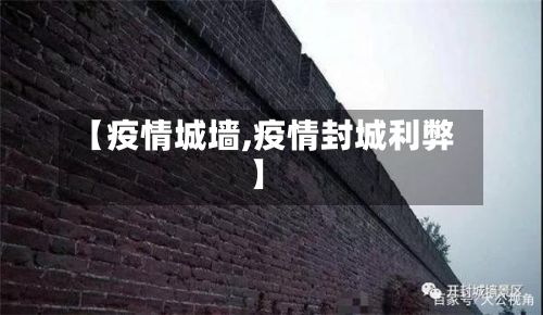 【疫情城墙,疫情封城利弊】-第2张图片
