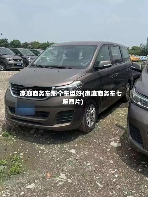 家庭商务车那个车型好(家庭商务车七座图片)