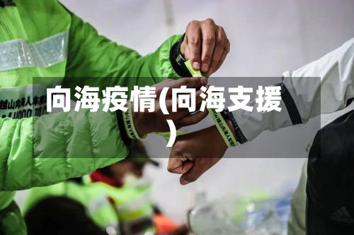向海疫情(向海支援)