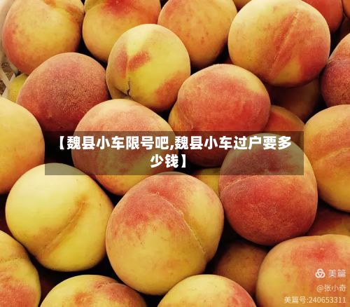【魏县小车限号吧,魏县小车过户要多少钱】