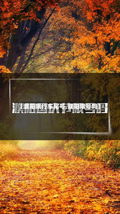 【濮阳限行车尾号,濮阳限号吗】-第3张图片
