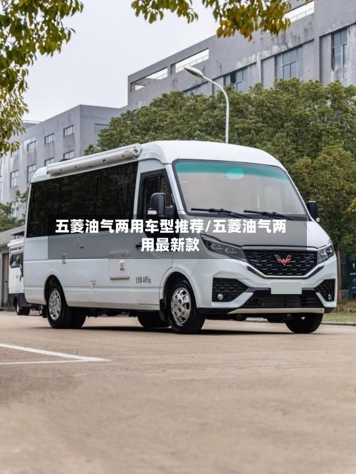 五菱油气两用车型推荐/五菱油气两用最新款